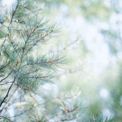 中欧体育最新地址