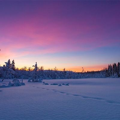半岛官方体育网页登录