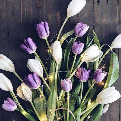 金沙8888js官方app下载